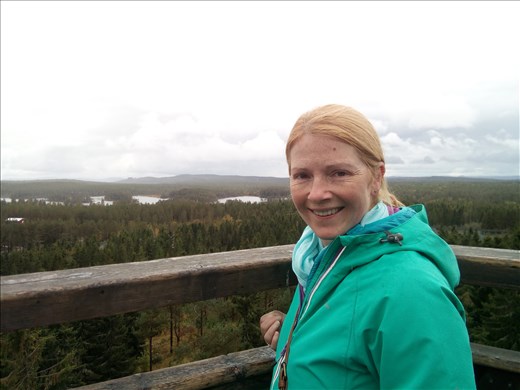 great views from top of bear park