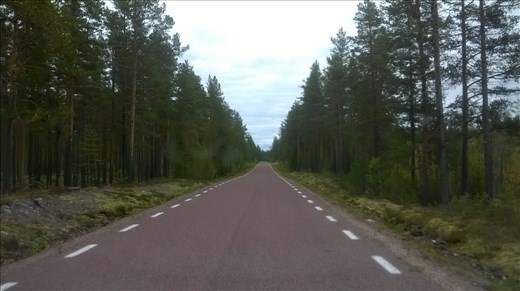 Typical road through Dalarna region, 100kms long!