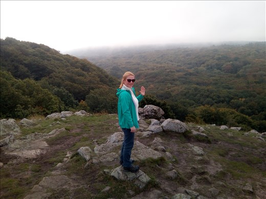 Stenshuvud National Park