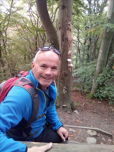 Mark and the mushrooms