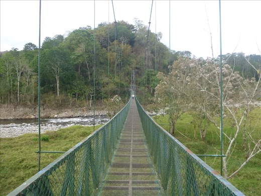 Me on long hanging bridge