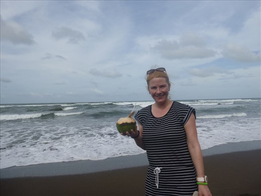Coconut water on the beach