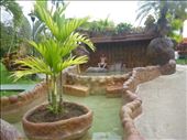 Mark in the very hot pool: by dawnandmark, Views[519]