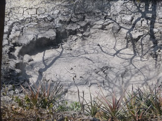 mud pot