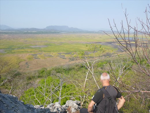 Palo verde wetlands