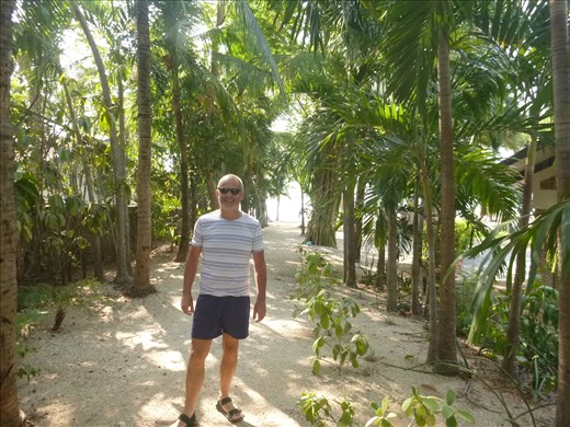 the path to the beach