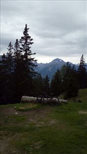 by dawnandmark, Views[200]