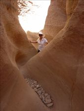 A walk in narrow canyon: by dawnnbrian, Views[241]