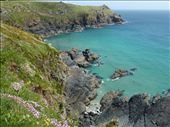 Hiking the coastal path, Cornwall : by dawnnbrian, Views[310]