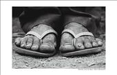 Coffee Feet - Works in the coffee harvest twenty-two years(Manoel José da Silva): by daymonfrankilin, Views[574]