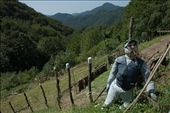 A scarecrow to defense almost nothing from the wild: by dazzled, Views[323]
