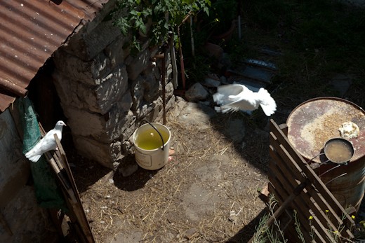 Fragments of natural and artificial life in the Valleys