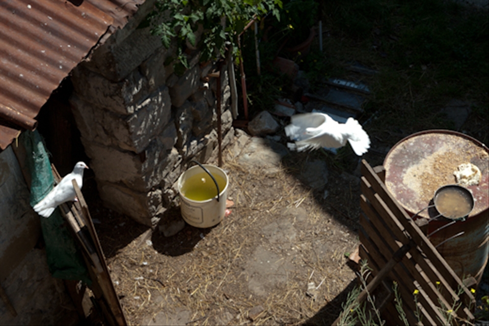 Fragments of natural and artificial life in the Valleys