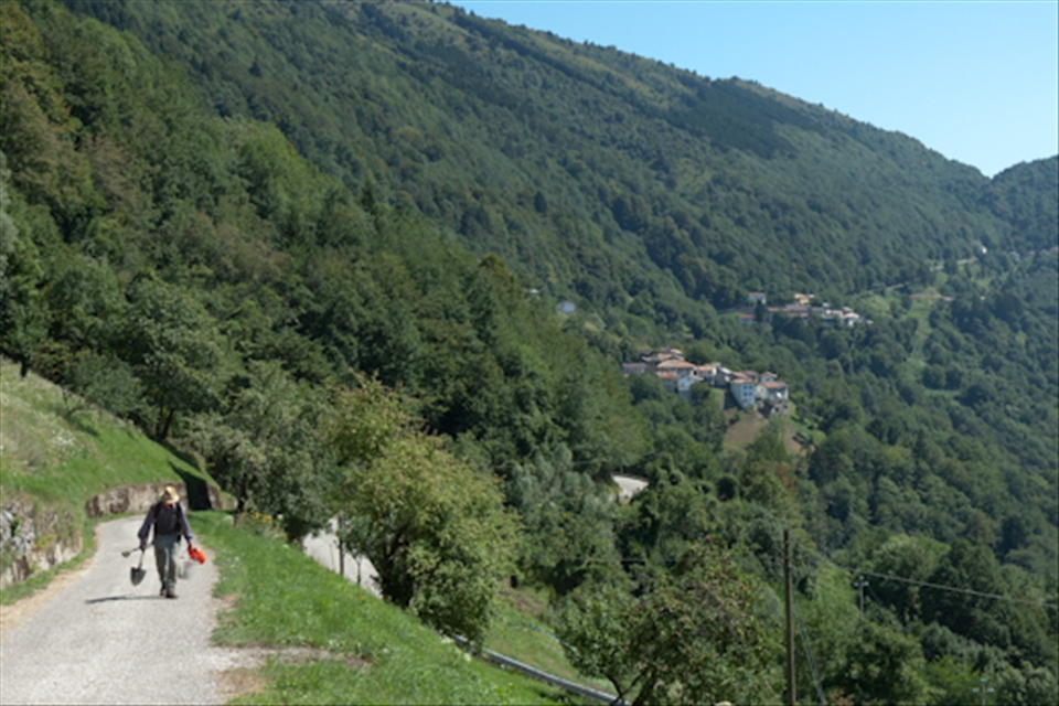 A land trapped by its old fashion nature where even the elders are moving away