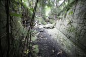Vines that curtain the light of the ‘Real world’ and the darkness below: by deani89, Views[294]
