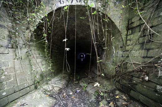 Entry point to a maze of tunnels that stretched over hundreds of metres