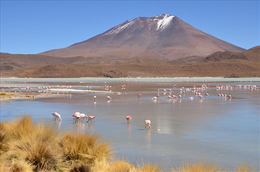 Laguna Verde and Licancabur Volcano
