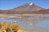 Laguna Verde and Licancabur Volcano: by deborre, Views[359]