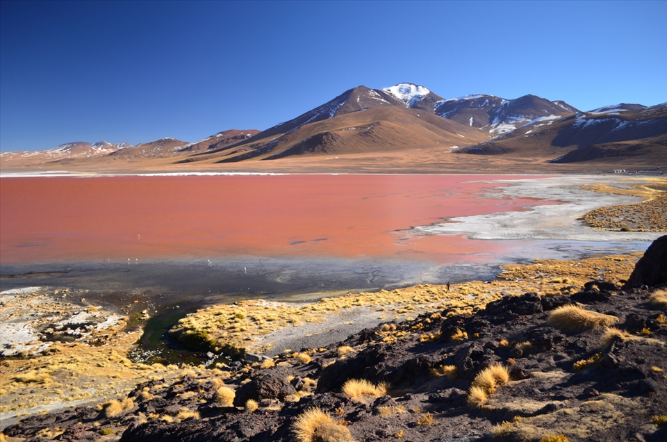 Laguna Colorada