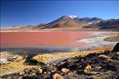 Laguna Colorada: by deborre, Views[289]