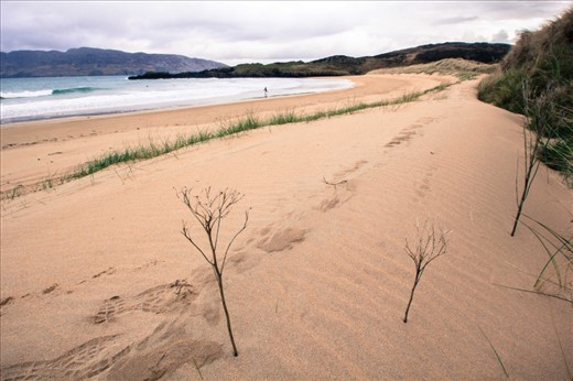 The beginning of an evenings surf