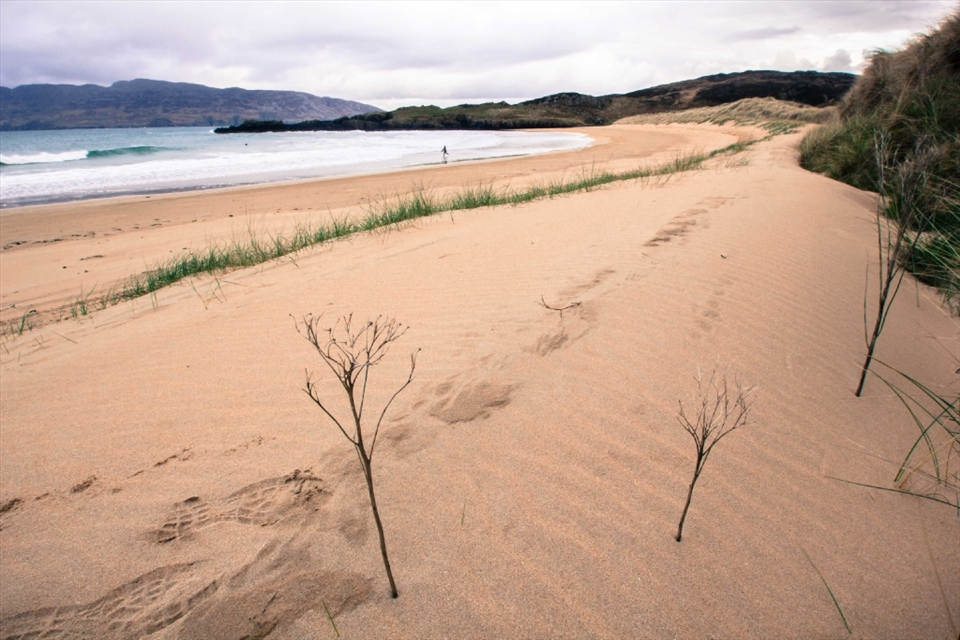 The beginning of an evenings surf