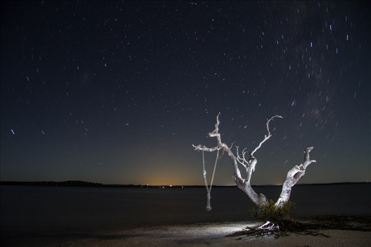 Night Time. Dream Time.