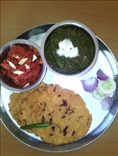 by deepa, Views[316]