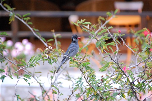 Nature within reach.