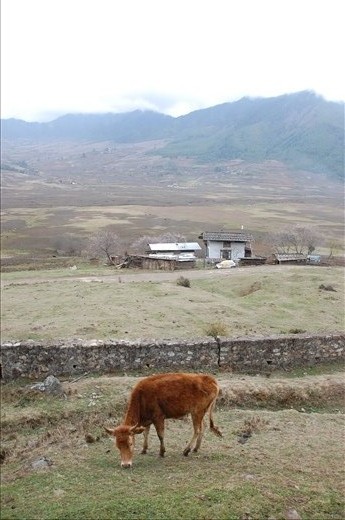 Stunning Landscapes. Tranquil Nature.