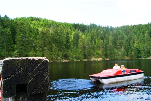 This picture has been taken from sony DSLR camera at lake in Schwarzwald freiburg.I had nothing in my mind before clicking the picture because I was lost in the beauty of the lake.The boat is just leaving for a trip.
