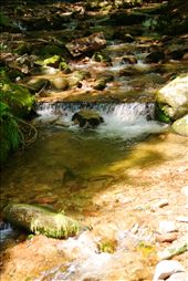 This Picture has been taken at waterfall at schwarzwald freiburg from SONY DSLR. The picturesque beauty of the flowing water is not properly justified because of the lack of good camera.But I managed as much as I could.: by deeptaurian, Views[389]