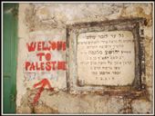 Hebron: a small Arab town inside the Palestine territories, not far from Jerusalem. A very holy site for people of both Muslim and Jewish faith. And the strangest place I have ever been to.: by deepthought, Views[234]