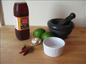 Ingredients and supplies: by dekying, Views[303]