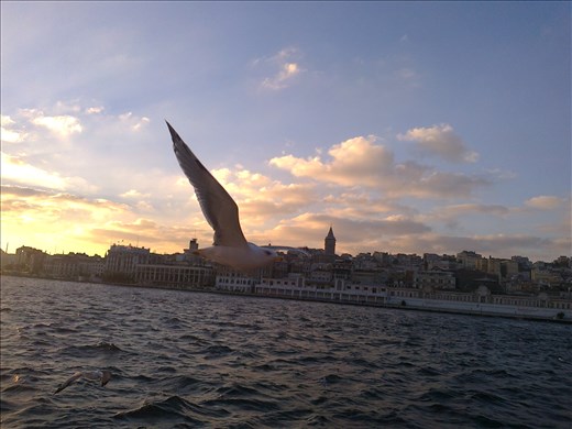Because you can only enjoy the Autumn while being near Bosphorus