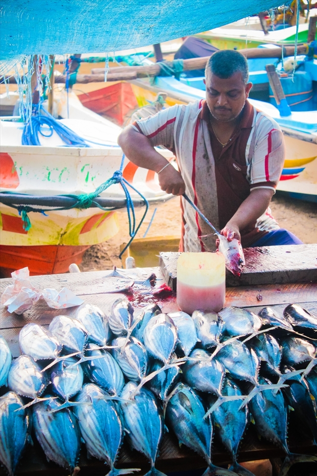 A fish vendor starting his business with a hut full of fresh fish