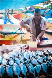 A fish vendor starting his business with a hut full of fresh fish: by derickreaper, Views[528]