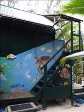 by desaroundtheworld, Views[121]