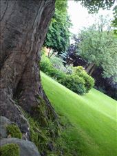 Summer life.: by destiny, Views[214]