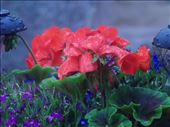 Color rain.: by destiny, Views[277]