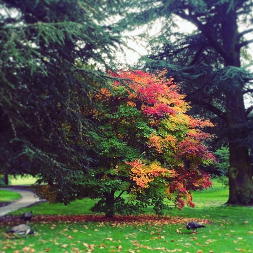 Warwick Castle, Warwick.