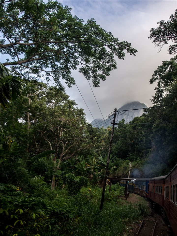 Train back from Kandy to Colombo. A scenic delight.
