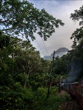 Train back from Kandy to Colombo. A scenic delight.: by devchandan, Views[430]
