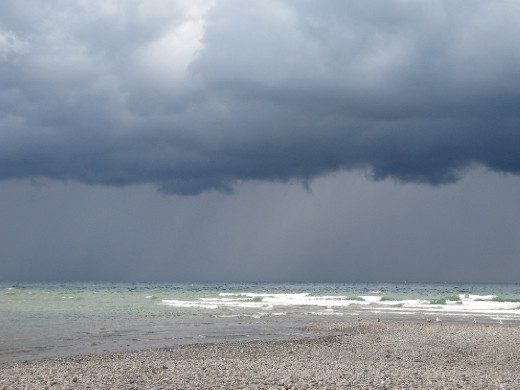 
 4. The storm closes in. Until the 1920s, Lake Huron's piscine food chain was ruled by the lake trout, which fed on the plankton-eating cisco. When the lake was invaded by smelt, alewives, and sea lampreys, the trout were brought to the edge of extinction. In the 1980s, Chinook salmon were imported from the West Coast but now the alewives they eat have dwindled. In an illustration of the cyclical nature of the world, the lake trout population is increasing again. 

.
