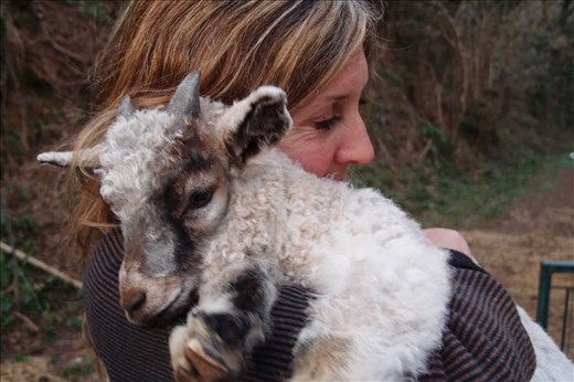 Podere Al Carli, Image Source: http://loveat-italy.blogspot.co.uk/