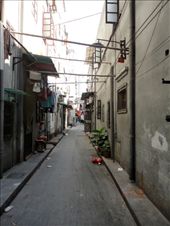 by dh4mill, Views[134]