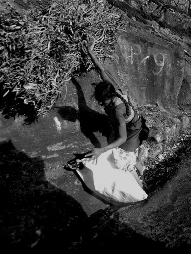 Haputale, after finished picking tealeaves. These Tamil girls will carry dry tea bushes back to their home as a fuel. Some had to walk down alone down the narrow road along the mountain while some has their boyfriend or husband to help carry those bushes back. 