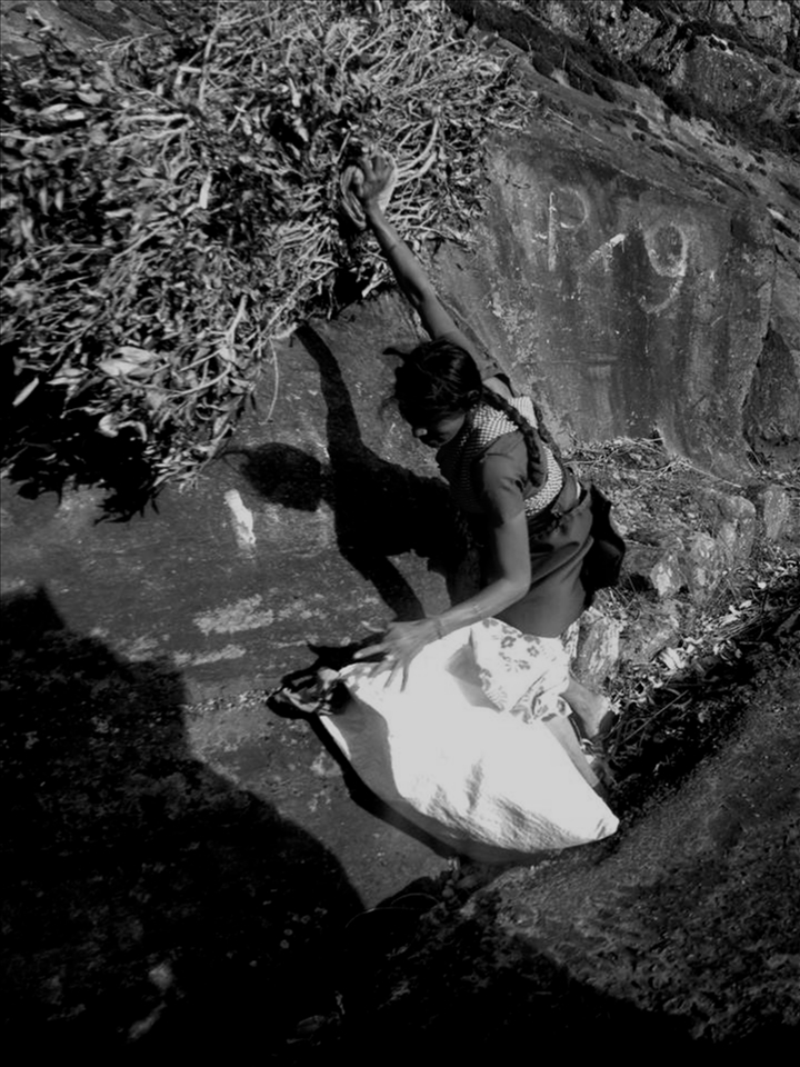 Haputale, after finished picking tealeaves. These Tamil girls will carry dry tea bushes back to their home as a fuel. Some had to walk down alone down the narrow road along the mountain while some has their boyfriend or husband to help carry those bushes back. 