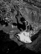 Haputale, after finished picking tealeaves. These Tamil girls will carry dry tea bushes back to their home as a fuel. Some had to walk down alone down the narrow road along the mountain while some has their boyfriend or husband to help carry those bushes back. : by dhtot, Views[997]
