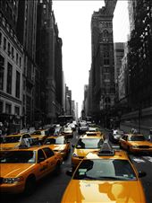 Day in the big Apple (New York): by dian, Views[227]